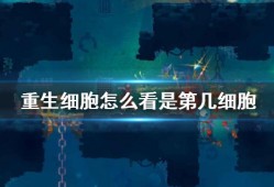重生细胞怎么看自己是几细胞 游戏阶段查看方法
