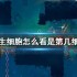 重生细胞怎么看自己是几细胞 游戏阶段查看方法