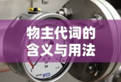 物主代词，含义与用法详解
