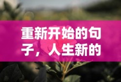 重新开始的句子，人生新的篇章
