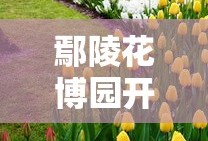 枪神传奇电视剧全集免费观看
