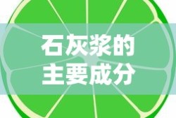 石灰浆的主要成分化学式