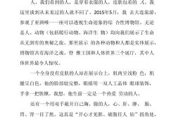 横扫天下礼包，游戏玩家的福音，横扫天下礼包，游戏玩家的福利盛宴