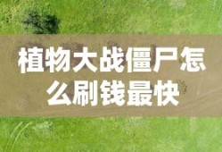 植物大战僵尸怎么刷钱最快