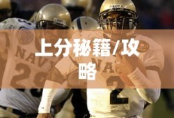 斗龙战士2星龙圣域小说