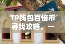 TP钱包百倍币寻找攻略，一站式指南