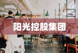 阳光控股集团