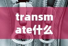 transmate什么牌子轮胎