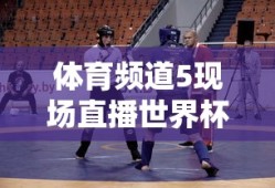 体育频道5现场直播世界杯