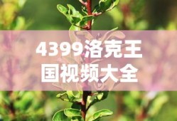 4399洛克王国视频大全
