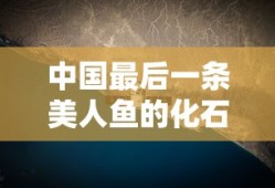 中国最后一条美人鱼的化石