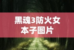 黑魂3防火女本子图片