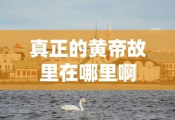 自来也死了复活了吗