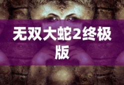 无双大蛇2终极版