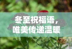 reunion动漫免费观看樱花