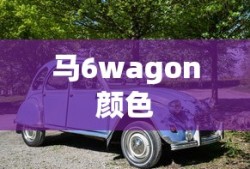 马6wagon颜色