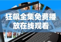 狂飙全集免费播放在线观看