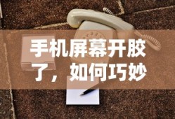 selected什么牌子什么档次