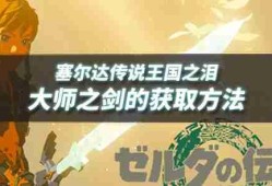 王国之泪大师剑怎么拿