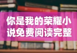 你是我的荣耀小说免费阅读完整版