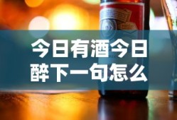 今日有酒今日醉下一句怎么说