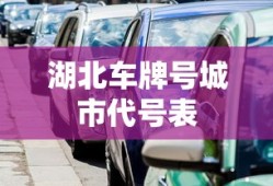 湖北车牌号城市代号表