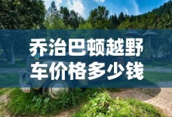 乔治巴顿越野车价格多少钱一辆二手