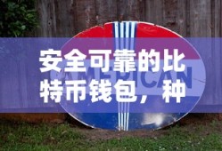 比特币钱包的种类、选择与安全使用指南