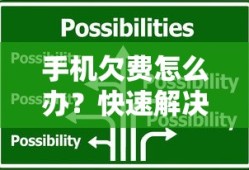 谢伊·吉尔杰斯-亚历山大