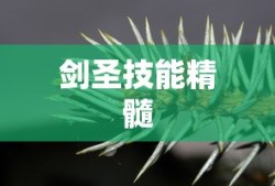 手游剑圣双刀攻略，掌握剑圣技能的精髓