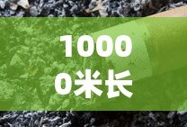 10000米长的蜈蚣有毒吗