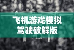 飞机游戏模拟驾驶破解版