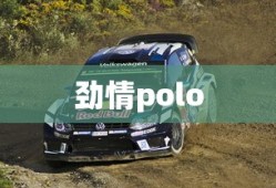劲情polo