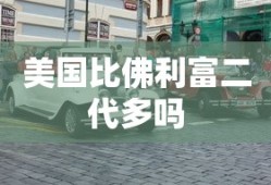 美国比佛利富二代多吗