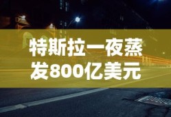 洛克王国石宝宝有护体石肤吗