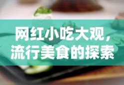 网红小吃大观，流行美食的探索与品味