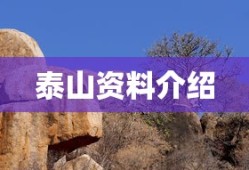 泰山资料介绍