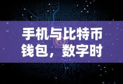 手机与比特币钱包，数字时代的财富管理新趋势