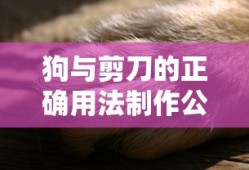 狗与剪刀的正确用法制作公司