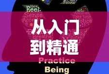 LOL手游英雄全解析，从入门到精通