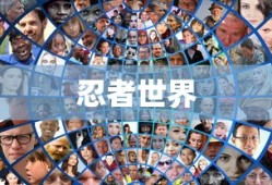 探索忍者世界的奥秘，官网指南，探索忍者世界的奥秘，官网指南带你领略神秘之旅