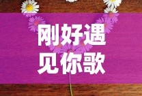 刚好遇见你歌词