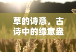 古诗中的绿意盎然，草的诗意
