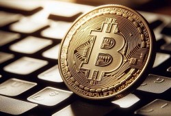 驾驶证真伪查询官方网