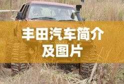 丰田汽车简介及图片