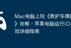 Mac电脑上玩《救护车模拟器》攻略，苹果电脑运行iOS游戏详细指南