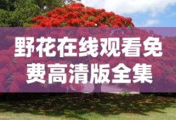 野花在线观看免费高清版全集