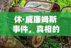 休·威廉姆斯事件，真相的探寻