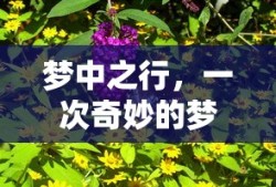 梦中奇妙的买桃子之旅