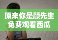 原来你是顾先生免费观看西瓜
